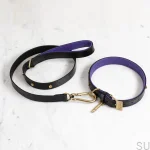 BusterPunch_Dog_Collar_Lead_Brass_Large-scaled.webp