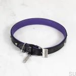 BusterPunch_Dog_Collar_Steel_Large-scaled.webp