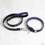 BusterPunch_Dog_Collar_Lead_Steel_Large-scaled.webp