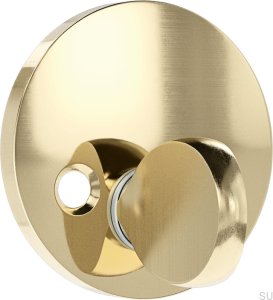 Lock TS 1 Brushed brass