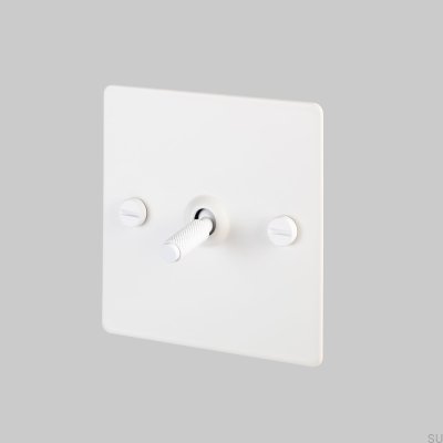 Single switch 1G Metal white English standard