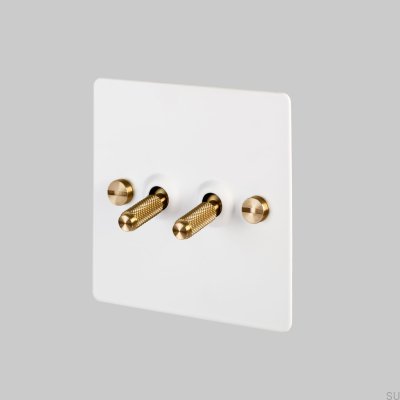 Dual Switch 2G White/Brass [El430] English standard