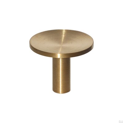 Golden Brass Cabinet Handle at Rs 400/piece in Rau