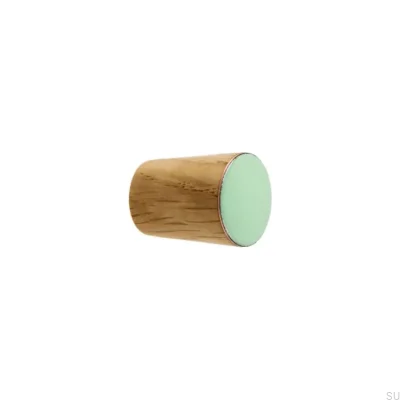 Furniture knob Simple Cone Wooden Enamel Mint Colorless Semi-matt