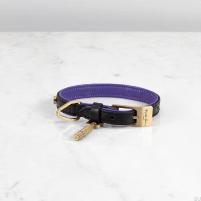 S Leather Gold Dog Collar