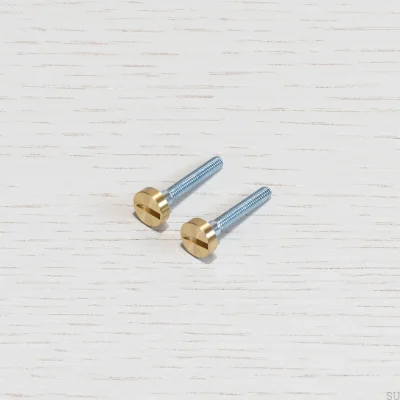 Switch screws Brass Electricity (2 pieces)