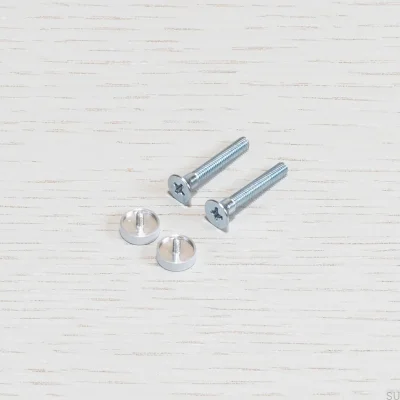 Steel Electricity switch screws (2 pieces)
