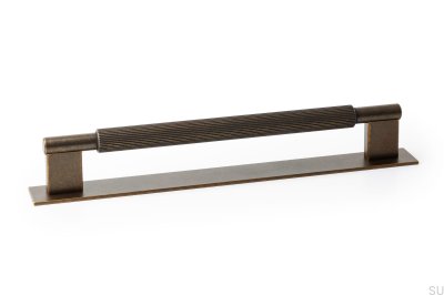 Elongated furniture handle with washer Arpa Plate 192 Aluminum Rustic Gold