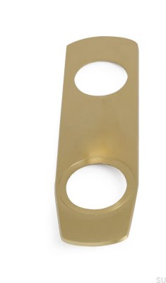 Covering plate for a modular lock 60 Matte brass Scandinavian standard