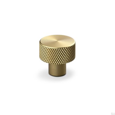 Rimini 20 Brushed Gold furniture knob