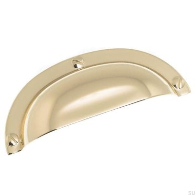 Shell furniture handle 3 158 64 Polished gold