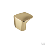 Polished brass_1.png