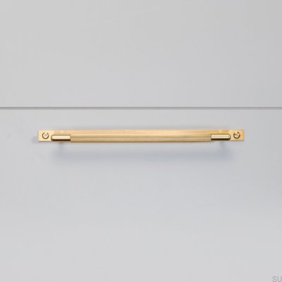 Linear Plate 325 Brass elongated furniture handle with washer