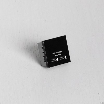 Dual USB Sockets Module for Euro Plate Black British Standard