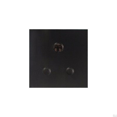5 Amp UK Module English Plug to Euro Plate Black