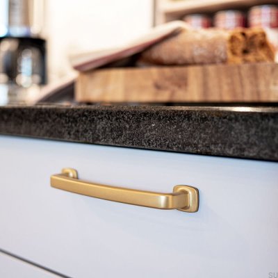 Retro 160 furniture handle, brushed gold