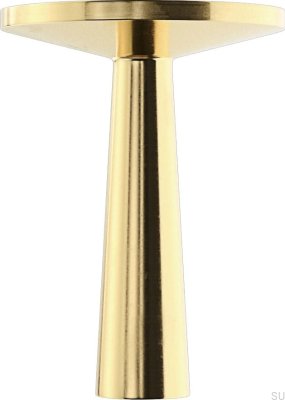 Furniture knob TS 1 Brushed brass (2 pieces)