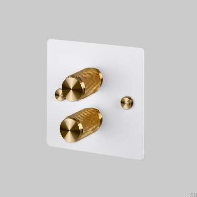LED Dimmer Cross 2G 120W Steel White with Brass British Standard