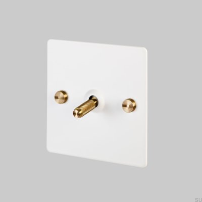 Cross 1G Single Switch Steel White with Brass British Standard
