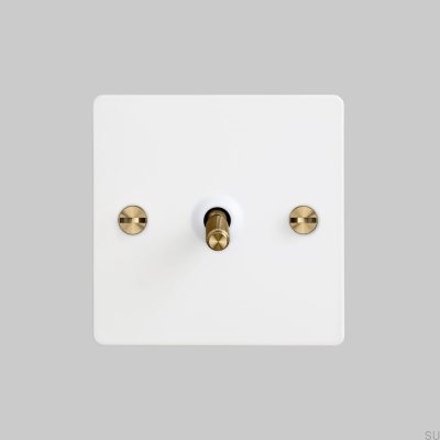 Single Cross Switch Cross 1G Steel White with Brass British Standard
