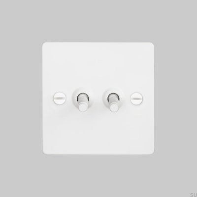 Double Switch Cross 2G Steel White British Standard