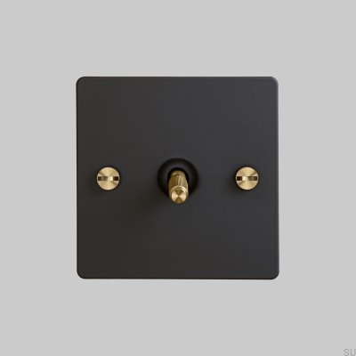 Single Cross Switch Cross 1G Steel Black with Brass British Standard
