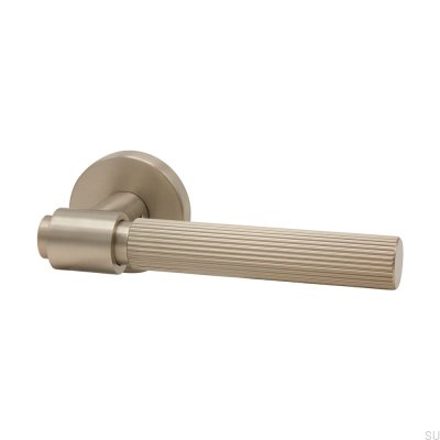 Helix Stripe 200 Door Handle Brushed Silver Scandinavian Standard
