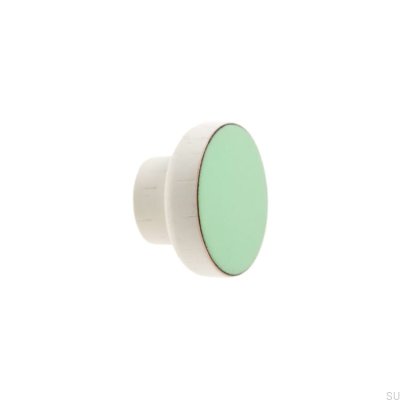 Furniture knob Simple White 40 Wooden Enamel Mint