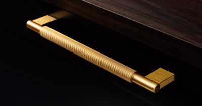 Arpa 320 oblong furniture handle, Aluminum, Gold, Brushed