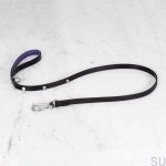 BusterPunch_Dog_Lead_Steel_Small.jpg