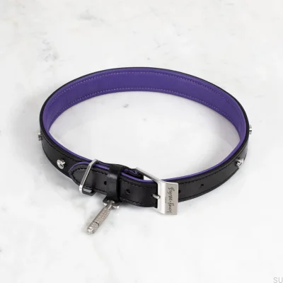 Dog Collar XL Leather and Steel