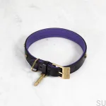 BusterPunch_Dog_Collar_Brass_Medium-scaled.webp