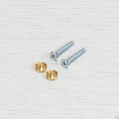 Switch screws Brass Electricity (2 pieces)