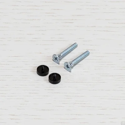 Electricity switch screws Black (2 pieces)