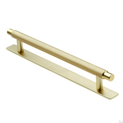 Elongated furniture handle with Manor 192 Gold washer