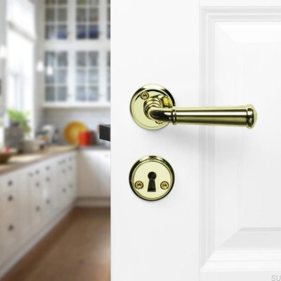 Hampton Door Handle Polished Gold Scandinavian Standard