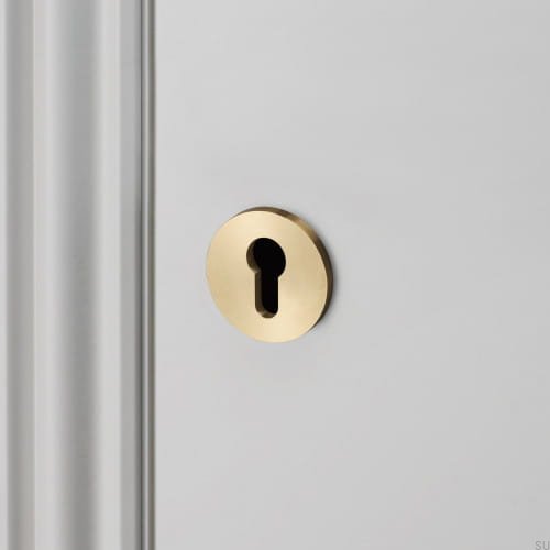 buster_punch-euro-escutcheon-plate-brass_2_2.jpg