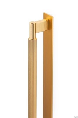 Lengthwise furniture handle with Arpa Plate 1178, Aluminum, Gold, Brushed