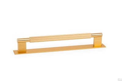 Lengthwise furniture handle with Arpa Plate 192, Aluminum, Gold, Brushed