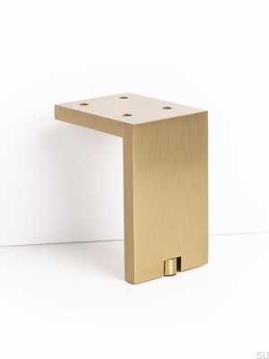 Furniture leg Fonda 100 Brushed Gold