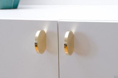 Furniture knob Globe 50 Polished Brass Unpainted