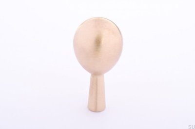 Drop 40 Gold Brass Wall Hanger Brushed Unlacquered