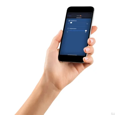 D-Motion LED X-Driver D-M 24V/60W driver