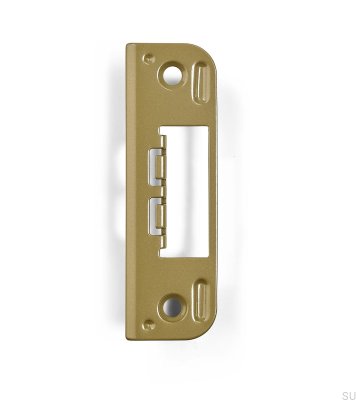 6510 Gold-Plated Epoxy Scandinavian Standard Lock