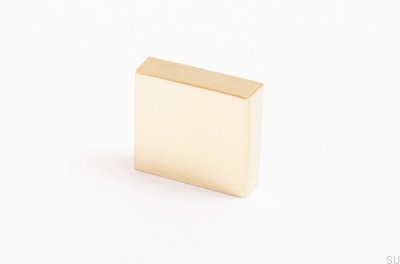 Clean Cut 22 furniture handle Polished Brass Unpainted