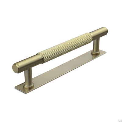 Salo Stripe 128 brushed gold oblong furniture handle