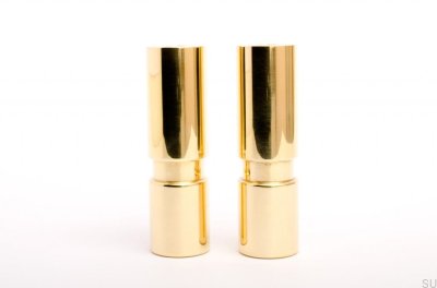 Cylinder 100 Furniture leg. Polished Brass Unpainted