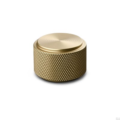 Rimini 30 Brushed Gold furniture knob