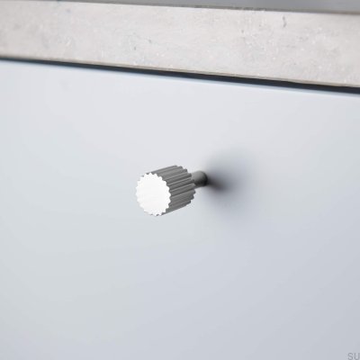 Smögen 20 silver furniture knob (2 pieces)