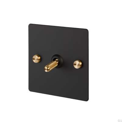Single Cross Switch Cross 1G Steel Black with Brass British Standard
